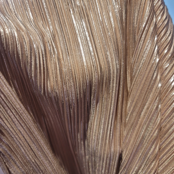 Zara Dress - Picture 3 of 4